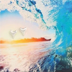 Shark Tooth Stud Earrings